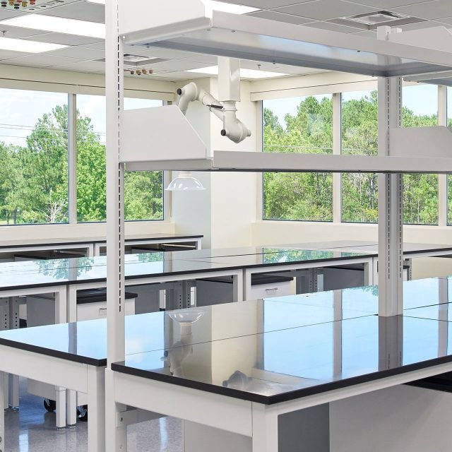 lab